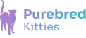 Purebred Kittens & Cats For Sale | Buy From Reputable Breeders